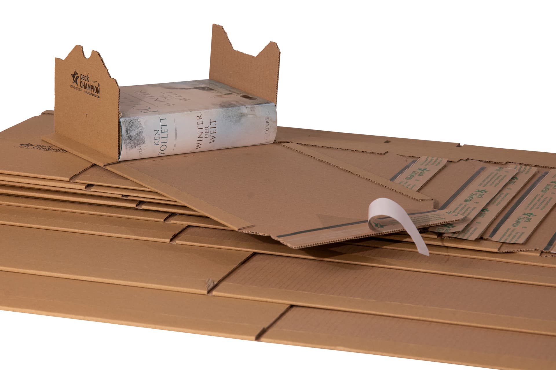 Wickelverpackung seitliche Packgutaufnahme 12