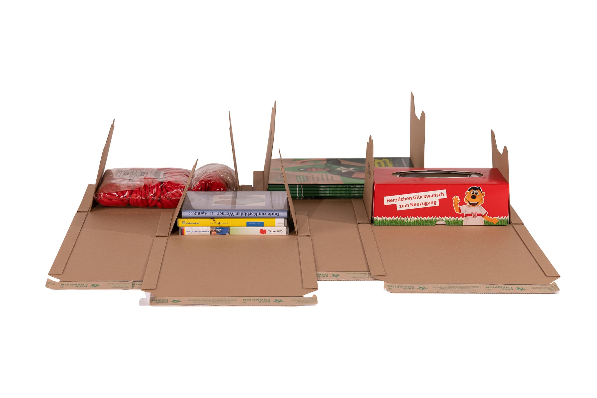 Wickelverpackung seitliche Packgutaufnahme leicht 2