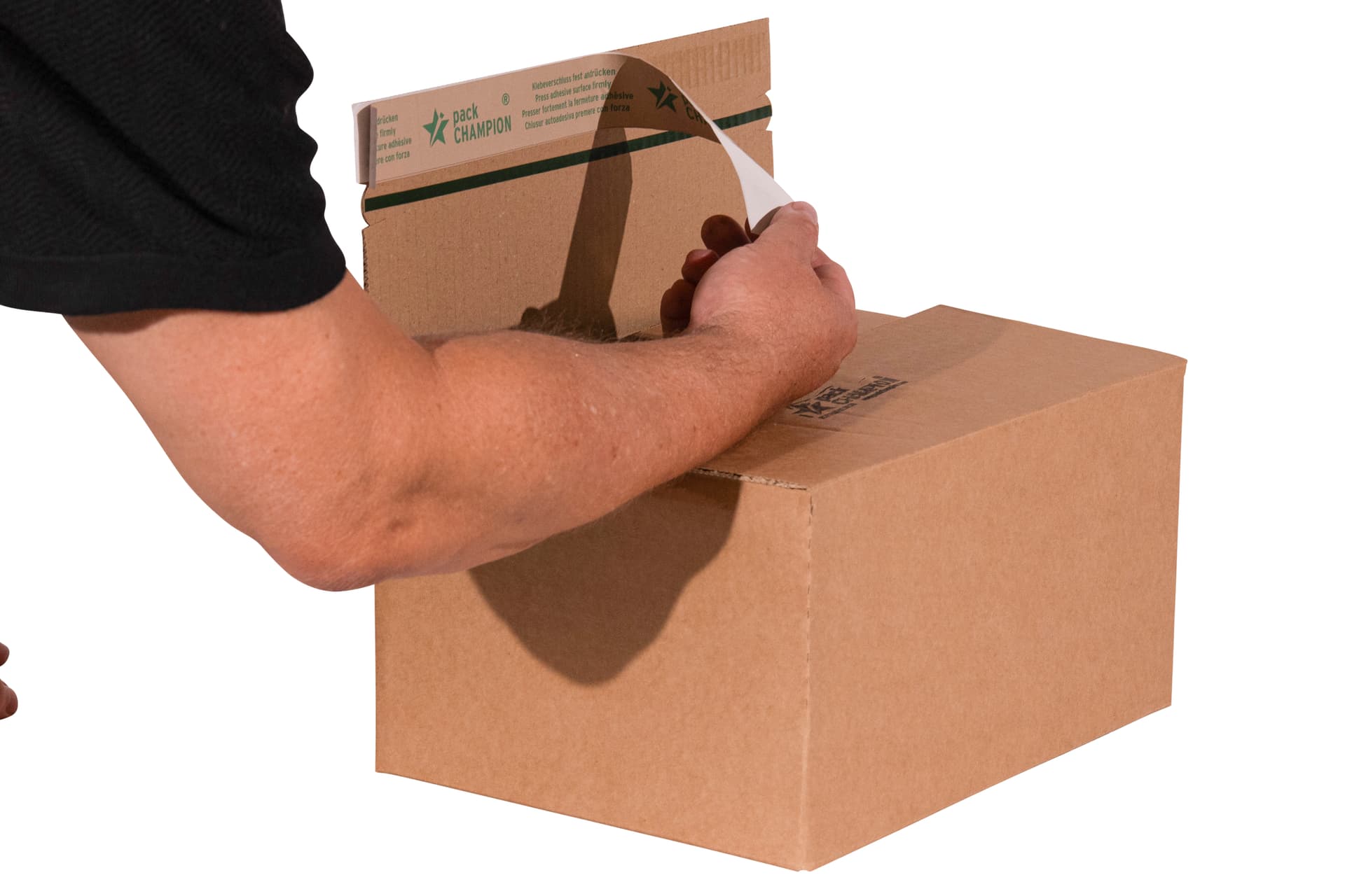 Fix-Aufrichtekarton höhenvariable 1-wellig 2