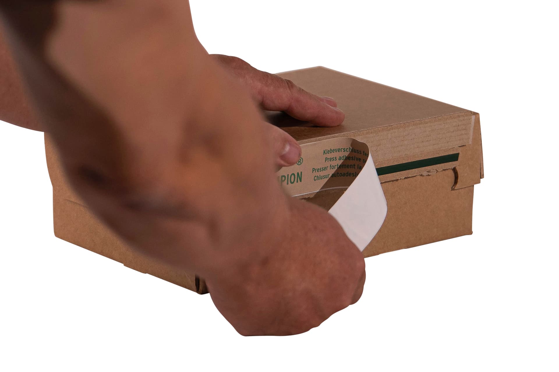 Versandbox 2-wellig, braun 2